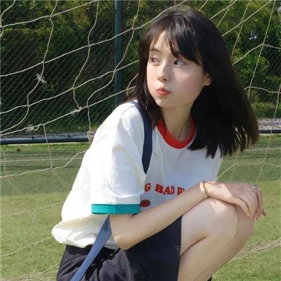 北极狗